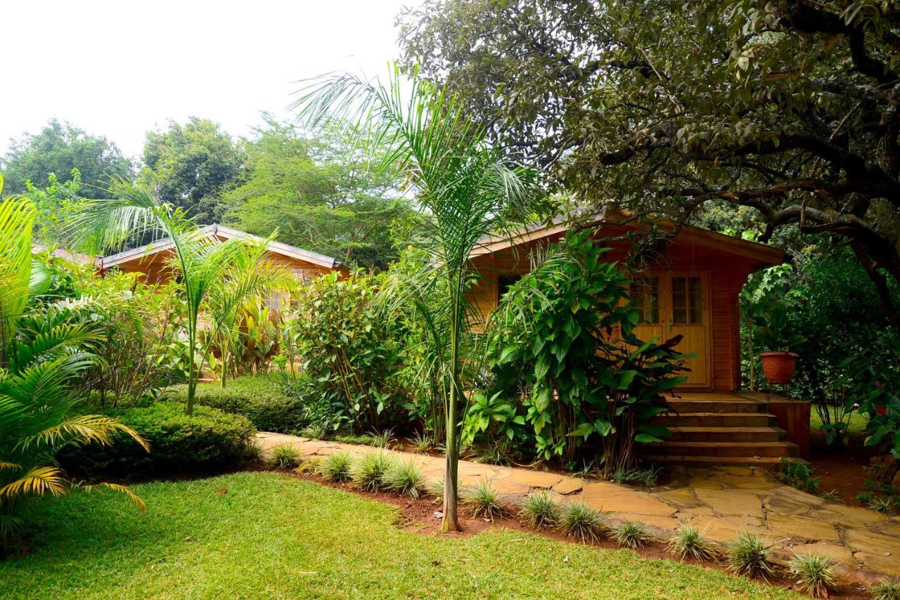 Severine Cottages And Lounge Ltd Nairobi Exterior photo